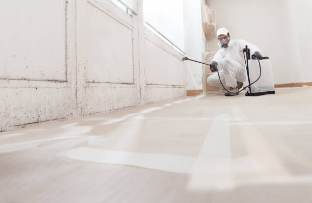 Post-remediation clearance in Zebulon